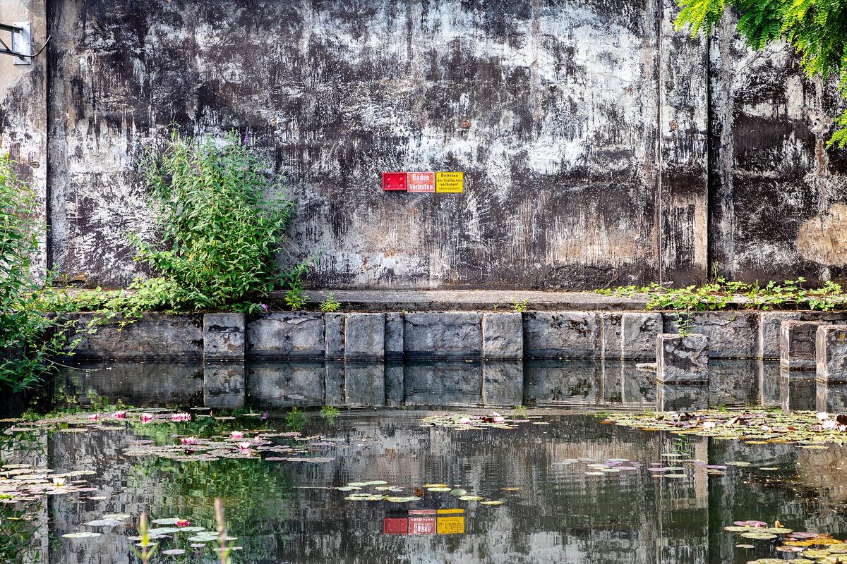 Lily pond below a blackened blast-furnace wall, Landschaftspark Duisburg-Nord