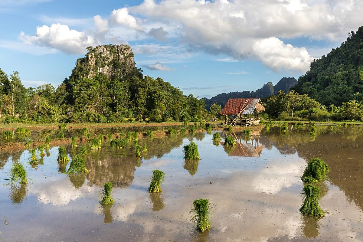 Flooded paddy field with stilted hut and karst mounds, Vang Vieng, Laos